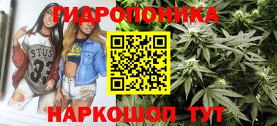 крисы Бузулук