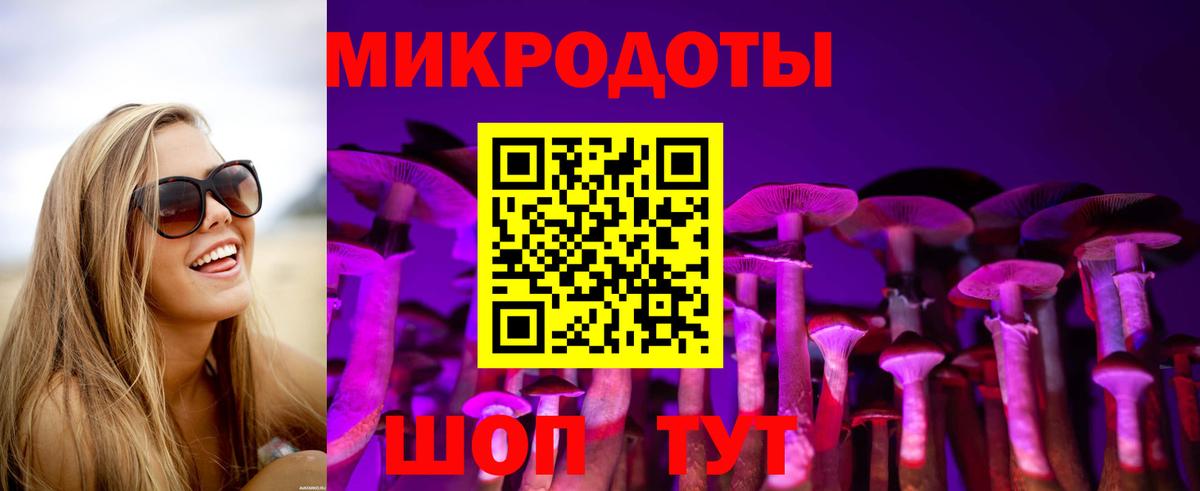 Псилоцибиновые грибы Cubensis  Вход с VPN  Тольятти 